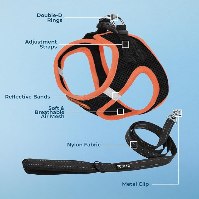 Voyager Step-in Air All Weather Mesh Harness and Reflective Dog 5 ft Leash Combo with Neoprene Handle, for Small, Medium and Large Breed Puppies by Best Pet Supplies - Black, X-Large