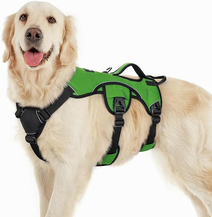 rabbitgoo Escape Proof Dog Harness for Large, No Pull with Lift Handle | No Escape, Full Soft Padded, Reflective Adjustable Vest, Leash Clip for Walking Hiking Training, Green, Large