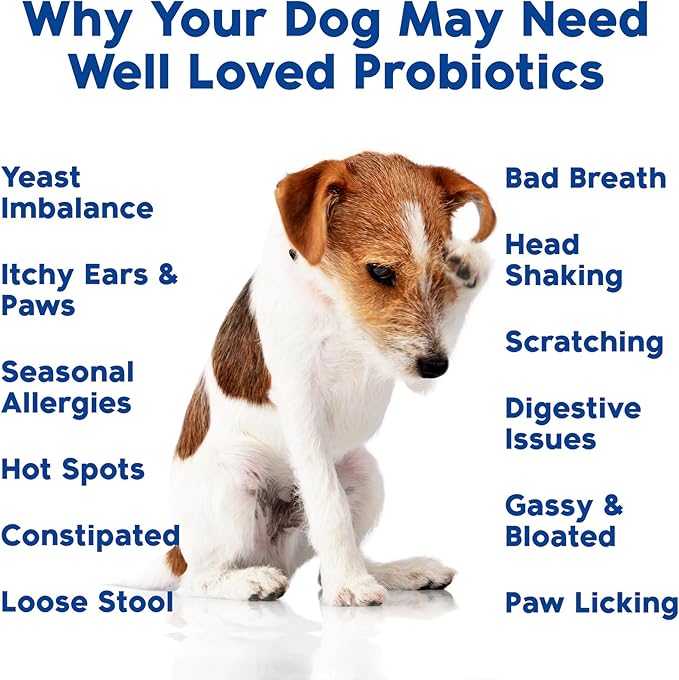 Well Loved Probiotics for Dogs, Dog Probiotics, Made in USA, Vet Developed