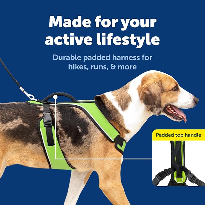 PetSafe EasySport Dog Harness, Apple Green, Large | Padded, Elastic Neckline Harness for Active Dogs, Reflective Piping for Visibility, Top Control Handle, Rear Leash Clip