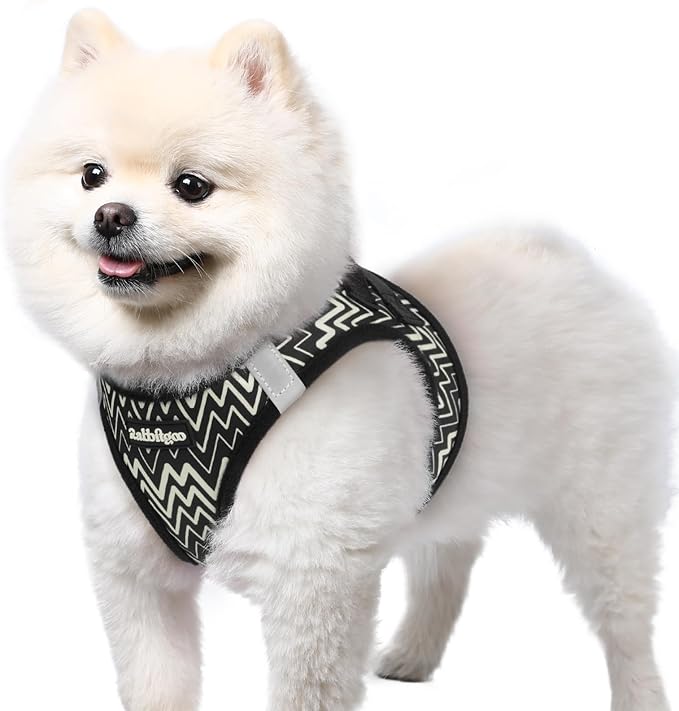 rabbitgoo Step-in Small Dog Harness, Puppy Vest for Small Sized Pet | Easy Put on and off, Lightweight, Soft, Breathable Quick-Dry Air Mesh for Comfortable Secure Walking, Black Zigzag S
