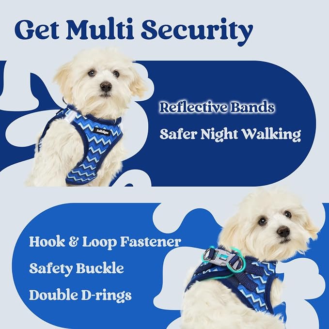 rabbitgoo Step-in Small Dog Harness, Puppy Vest for Small Sized Pet | Easy Put on and off, Lightweight, Soft, Breathable Quick-Dry Air Mesh for Comfortable Secure Walking, Blue Zigzag XS