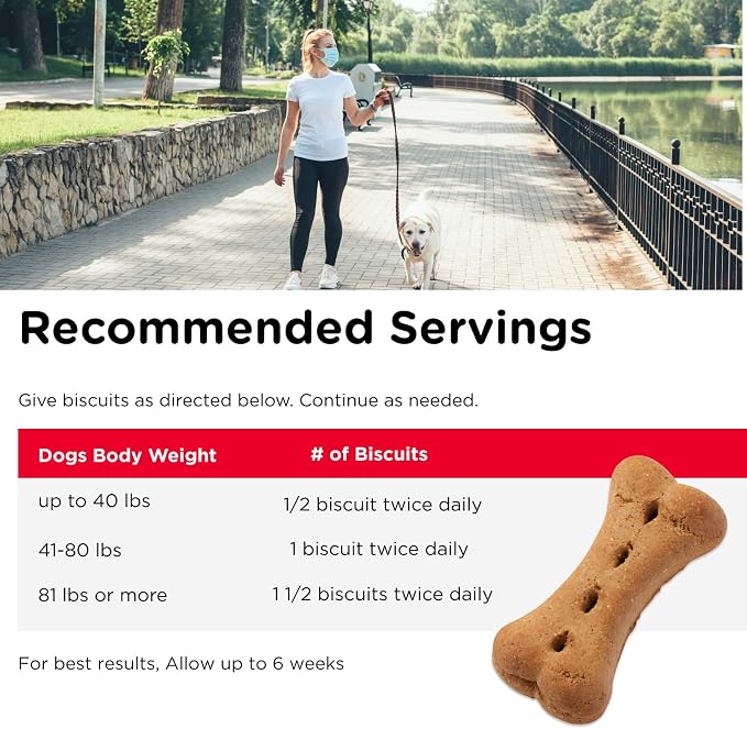Nutri-Vet Hip & Joint Dog Biscuits, Dog Treats, 300mg Glucosamine, 6 lb Bag