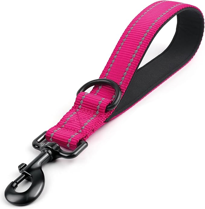 Joytale Short Dog Leash for Close Control & Training, 12", Hot Pink | Padded Comfort Handle, Reinforced Nylon Webbing, Secure Metal Clip, for Busy Streets & Heel Training