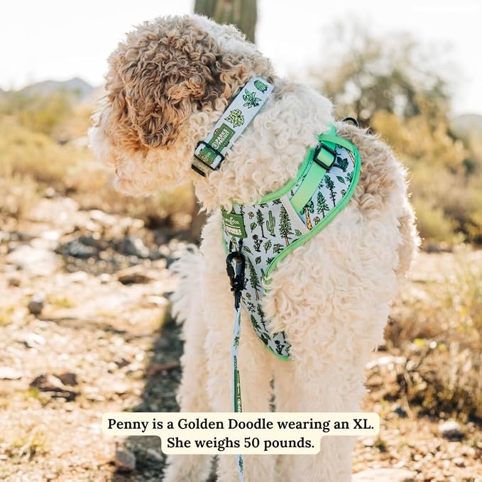 Lucy & Co. x Parks Project Feel the Earth Breath No-Pull Dog Harness, Adjustable Front Clip Harness with Comfort Padding, Small