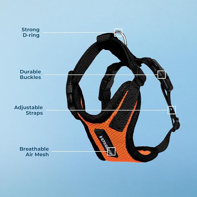 Voyager Step-in Lock Dog Harness - Orange/Black Trim, X-Large | 23 - 28" in Chest, Adjustable, Breathable Air Mesh, Lightweight for Daily Walks, Strong Clips, Heavy Duty D-Ring