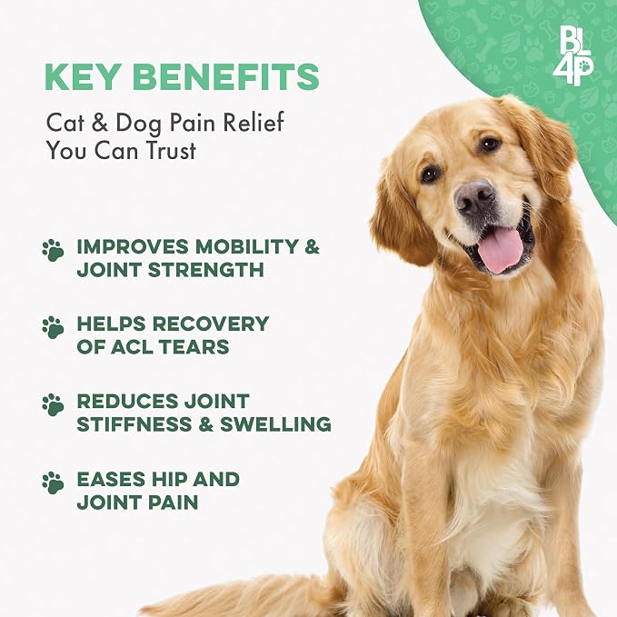 Walk-Easy Cat & Dog Joint Pain Relief, Effective Cat Pain Reliever, Anti Inflammatory & Natural Dog Hip and Joint Supplement, and Dog Allergy Relief & Immune Support, Natural Holistic Itch Relief
