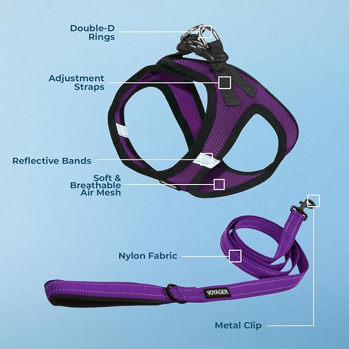 Best Pet Supplies Voyager Step-in Air All Weather Mesh Harness and Reflective Dog 5ft Leash Combo with Neoprene Handle, for Small, Medium and Large Breed Puppies - Purple/Black Trim, Small