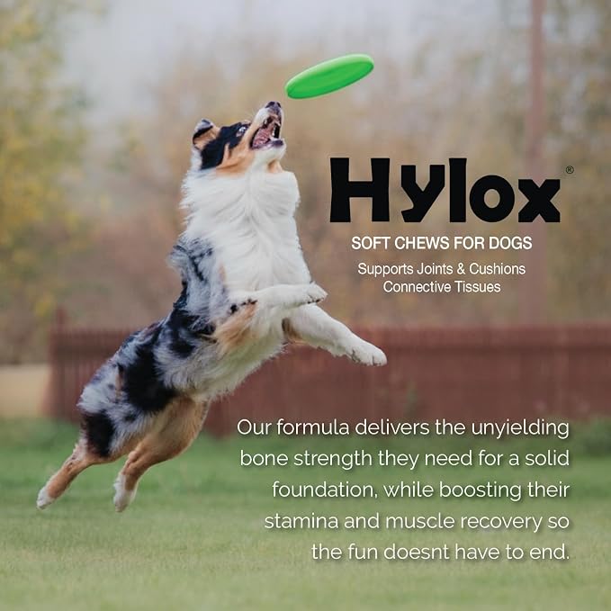 Hylox Soft Chews for Dogs – Joint Support with Glucosamine, MSM, Creatine, Hyaluronic Acid, Turmeric, EPA & DHA – Supports Joints & Cushions Connective Tissues – NASC Certified – 120 Soft Chews