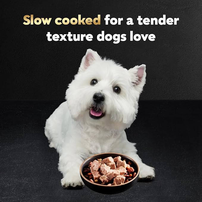 Cesar Filets in Gravy Adult Wet Dog Food Variety Package,Poultry Lovers with Rotisserie Chicken Flavor and Turkey Recipe,3.5 oz. Easy Peel Trays,12 Count (Pack of 4)
