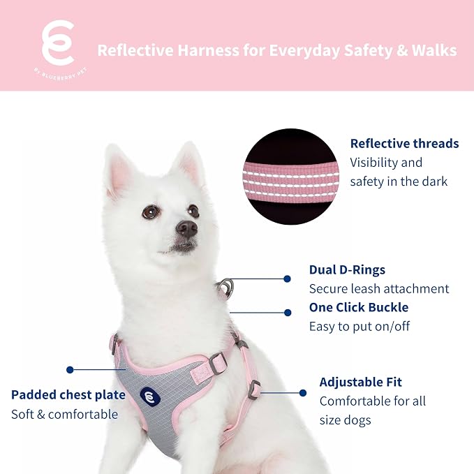 Blueberry Pet Essentials Back to Basics Reflective Dog Harness Vest, Candy Pink, Small, Adjustable Harnesses for Dogs