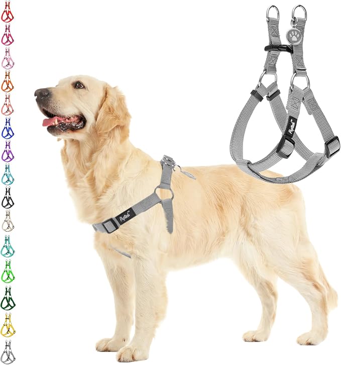 PUPTECK No Pull Dog Harness Medium Sized Step-in Adjustable Puppy Vest | Soft Webbing Basic Halter with ID Tag for Outdoor Walking