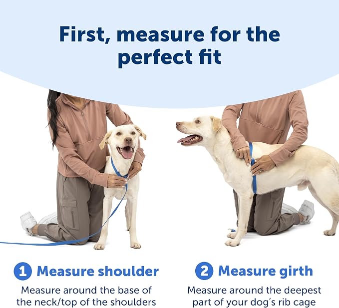 PetSafe Easy Walk Comfort No Pull Dog Harness, Pink, Medium | Stops Pulling on First Use with Front Martingale Loop, Full-Body Padding, 5-Point Adjustable Fit
