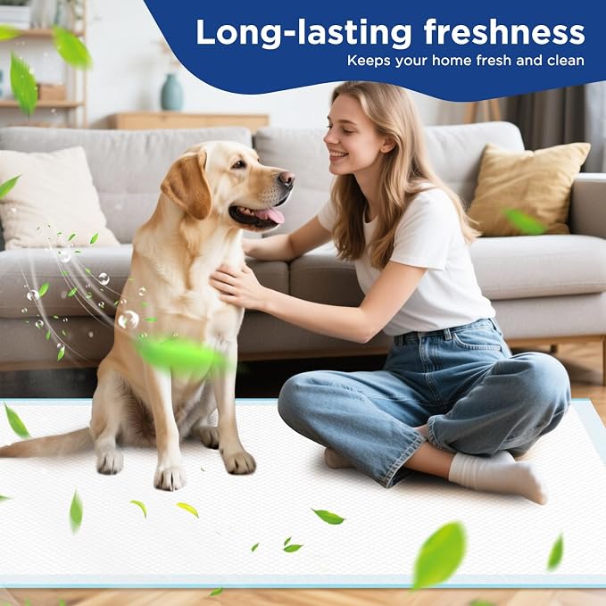 Dog Pee Pads Extra Large 31"x47" - XXL Disposable Puppy Potty Training Pads for Dogs, Heavy Duty 6-Layer Leak-Proof, Super Absorbent & Quick-Dry, 20 Count