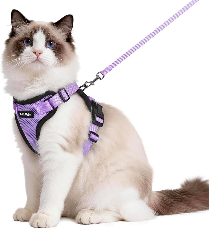 rabbitgoo Cat Harness and Leash Set, Escape Proof Vest, Light Purple | Soft Breathable Mesh, Easy Adjustable Fit, Snap Buckles, Sturdy Clip, Reflective Strips, for Medium to Large Cats Walks, M