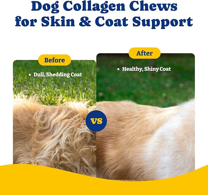 Collagen for Dogs, Soft Chews for Hip, Joint, Skin & Coat Supplement