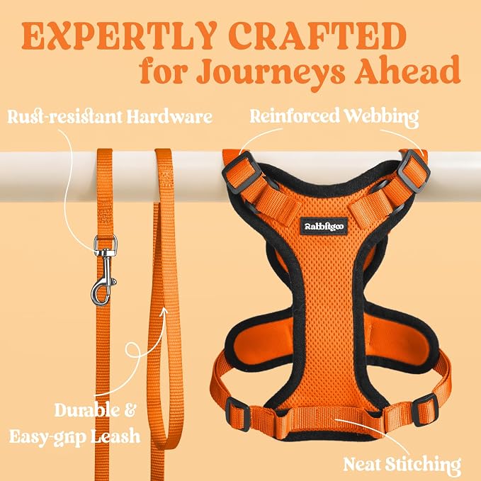 rabbitgoo Cat Harness and Leash Set, Escape Proof Vest, Orange | Soft Breathable Mesh, Easy Adjustable Fit, Snap Buckles, Sturdy Clip, Reflective Strips, for Small & Average Cats Walks, Xs