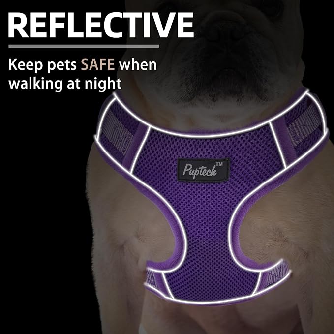 PUPTECK Small Dog Harness and Leash Set, No Pull Adjustable Puppy Cat Harness, Reflective Soft Mesh Pet Vest Small Sized, Purple, XS