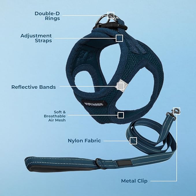 Best Pet Supplies Voyager Step-in Air All Weather Mesh Harness and Reflective Dog 5ft Leash Combo with Neoprene Handle, for Small, Medium and Large Breed Puppies - Blue, Large
