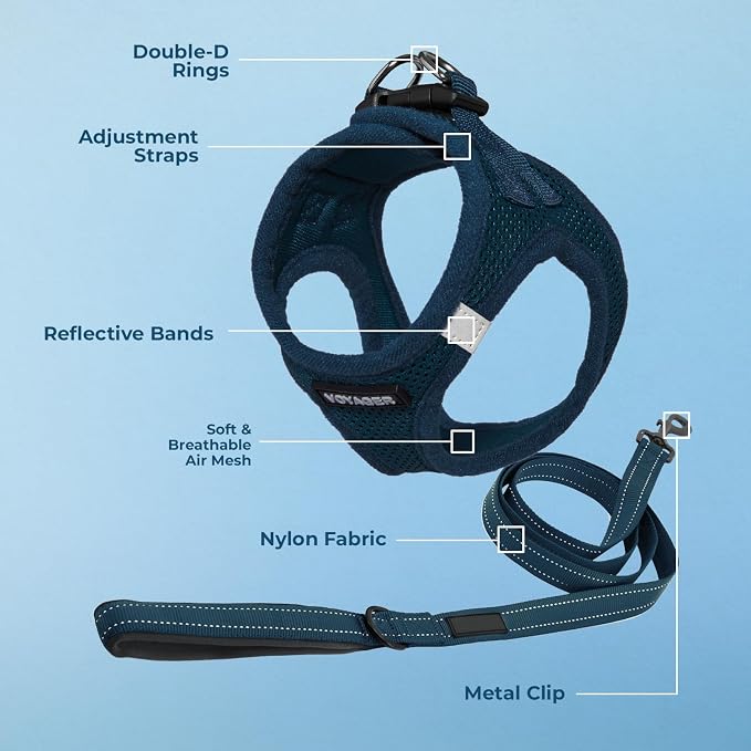 Best Pet Supplies Voyager Step-in Air All Weather Mesh Harness and Reflective Dog 5ft Leash Combo with Neoprene Handle, for Small, Medium and Large Breed Puppies - Blue, XXX-Small