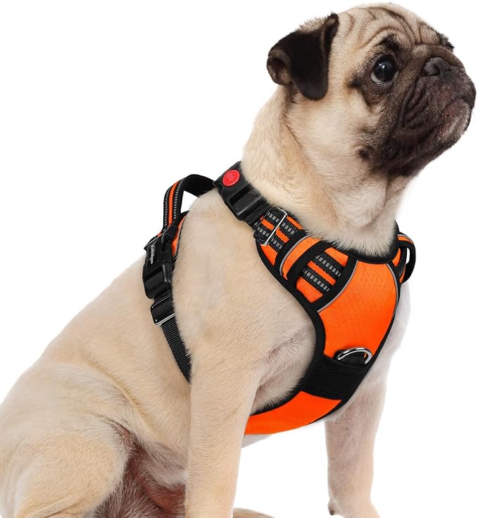 rabbitgoo Dog Harness Small Sized, No Pull 3 Buckles Easy On & Off | Soft Padded, Walking with Control Handle, Adjustable and Reflective, Orange, Small