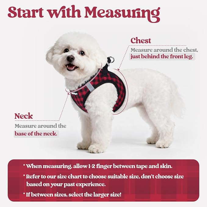 rabbitgoo Dog Harness Medium Sized and Leash Set, Step-in Puppy Pet Vest | Light, Soft, Breathable Air Mesh, Easy on and Remove with Hook & Loop, Secure Reflective for Walking, Red Check L