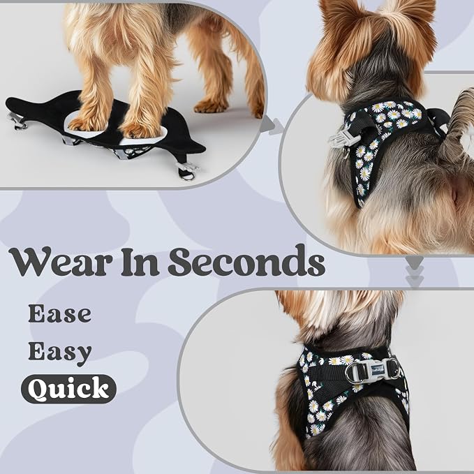 rabbitgoo Step-in Small Dog Harness, Puppy Vest for Small Sized Pet | Easy Put on and off, Lightweight, Soft, Breathable Quick-Dry Air Mesh for Comfortable Secure Walking, Midnight Daisy XXS