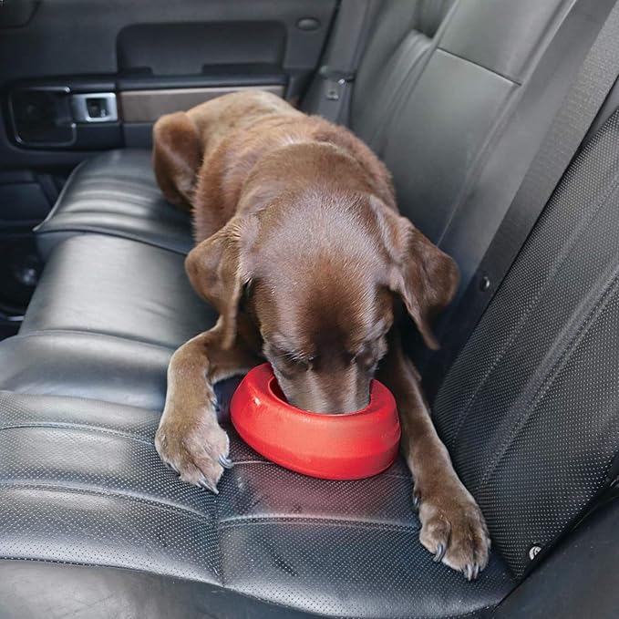 Kurgo Splash Free Wander Dog Water Bowl, 24oz, Chili Red