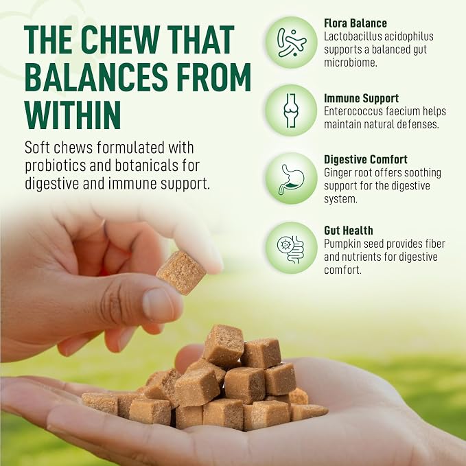 Probiotics for Dogs – 120 Soft Chews, Bacon Flavor | Digestive Enzymes, Gut Health & Immune Support with Pumpkin Seed & Ginger | for All Breeds