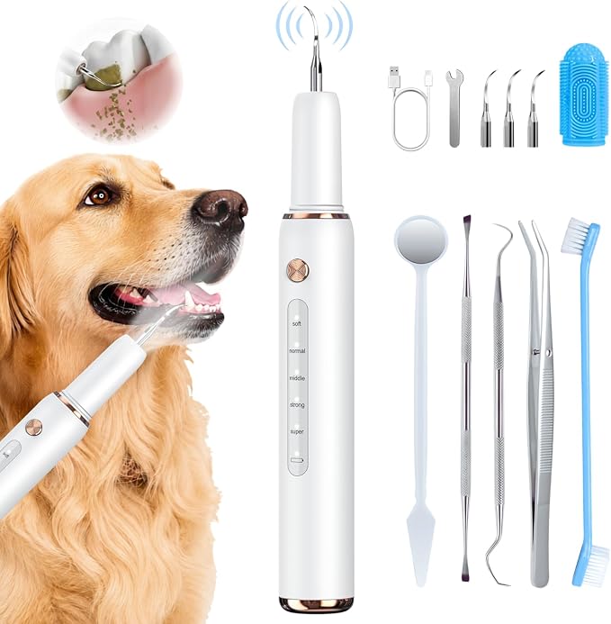 Dog Plaque Remover for Teeth - Electric Tartar Remover with LED Light, 5 Adjustable Modes, Dog Teeth Cleaning Kit, Safe Pet Tooth Cleaner, Dental Care Tool for Dogs