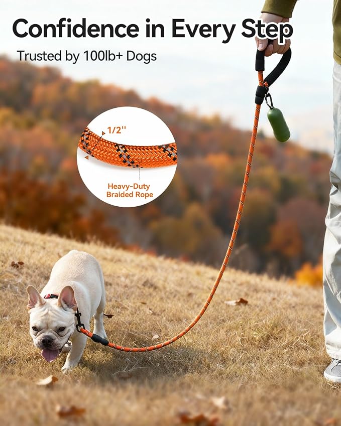 Joytale Rope Dog Leash for Small Dogs, Padded Handle, 5FT, Orange | Reinforced Nylon Webbing, Comfort Grip Eases Hand Strain, Swivel Clip Prevents Tangles, Visible at Night, for Outdoor Walks