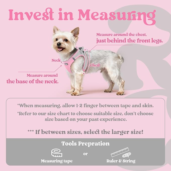 rabbitgoo Step-in Small Dog Harness, Puppy Vest for Small Sized Pet | Easy Put on and off, Lightweight, Soft, Breathable Quick-Dry Air Mesh for Comfortable Secure Walking, Light Pink & Gray S