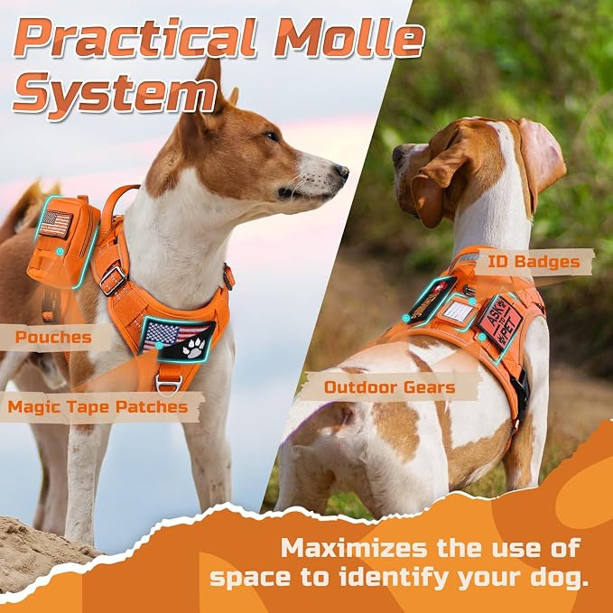 rabbitgoo Tactical Dog Harness for Small, No Pull Military Service Vest | Molle & Handle, Heavy Duty, Adjustable, Reflective Straps, Easy Control for Training Walking, Orange, Small