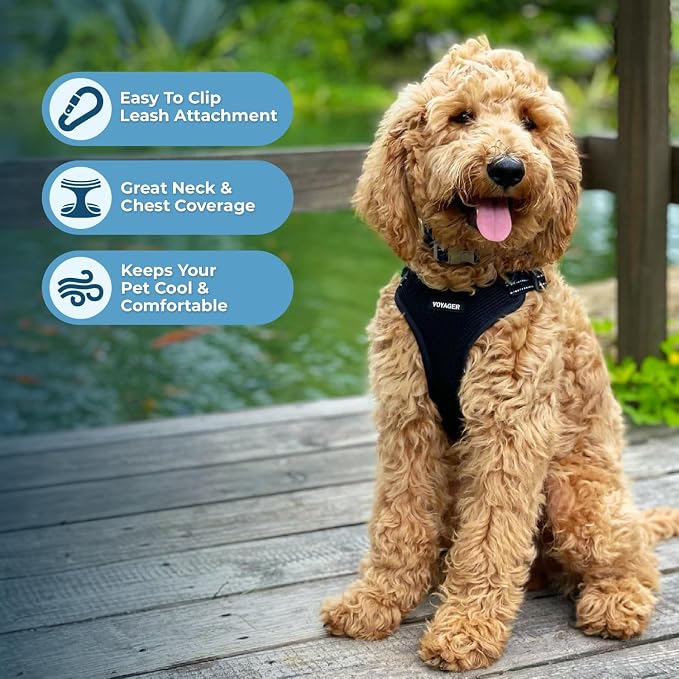 Best Pet Supplies Voyager Adjustable Step-in Flex Breathable Mesh Dog Harness for Small Medium Large Dogs Leash Set (Black), S