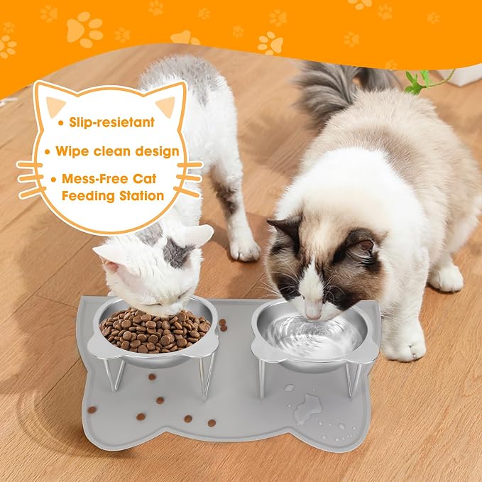 Elevated Cat Bowls, 2 Pack Raised Cat Food Water Bowls with Non-Slip Placemat, 15° Tilted Stand Anti Vomiting Stainless Steel Pet Food Feeding Dishes Plate for Cats Kitten Puppies Dogs Small Animals