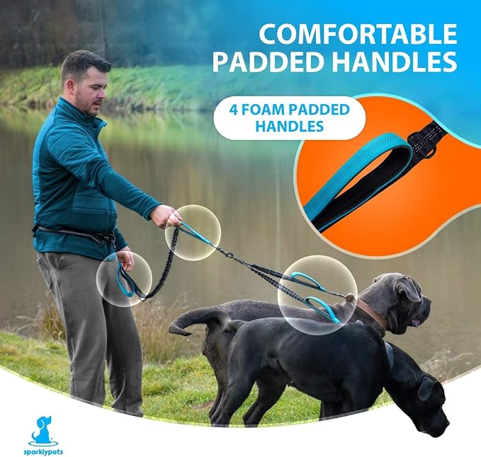 SparklyPets - Hands Free Dual Dog Leash for Medium and Large Female Dogs - Padded Handles, Reflective Stitches, No Pull, Tangle Free - Walking, Hiking, Jogging, Canicross Waist Leash - Purple