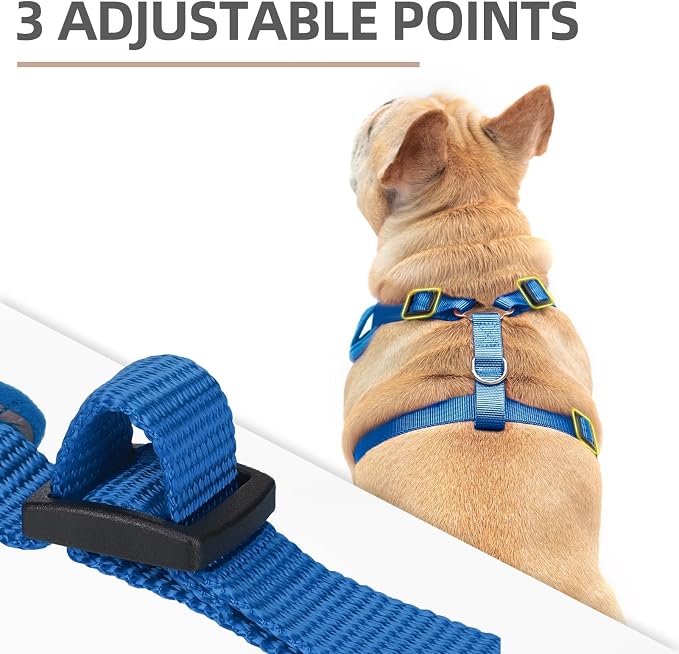 PUPTECK Small Dog Harness and Leash Set, No Pull Adjustable Puppy Cat Harness, Reflective Soft Mesh Pet Vest Small Sized, Blue, M