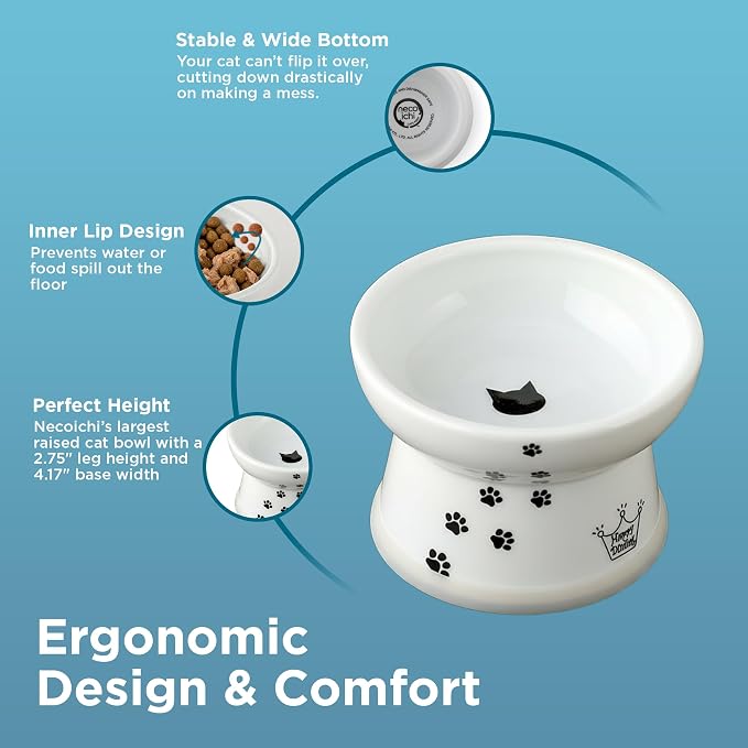 Necoichi Raised Cat Food Bowl – Ceramic Elevated Cat Bowl for Whisker & Neck Fatigue, Dishwasher Microwave Safe – Non-Slip & Anti Vomiting Ergonomic Design (Cats, Regular, 1-Cup Capacity)