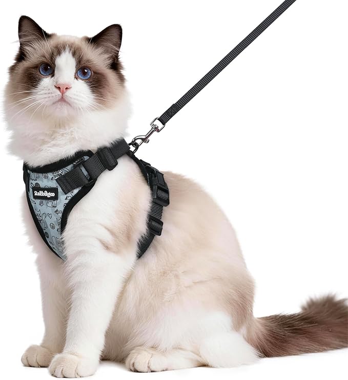 rabbitgoo Cat Harness and Leash Set, Escape Proof Vest, Doodle Gray | Soft Breathable Mesh, Easy Adjustable Fit, Snap Buckles, Sturdy Clip, Reflective Strips, for Medium to Large Cats Walks, M