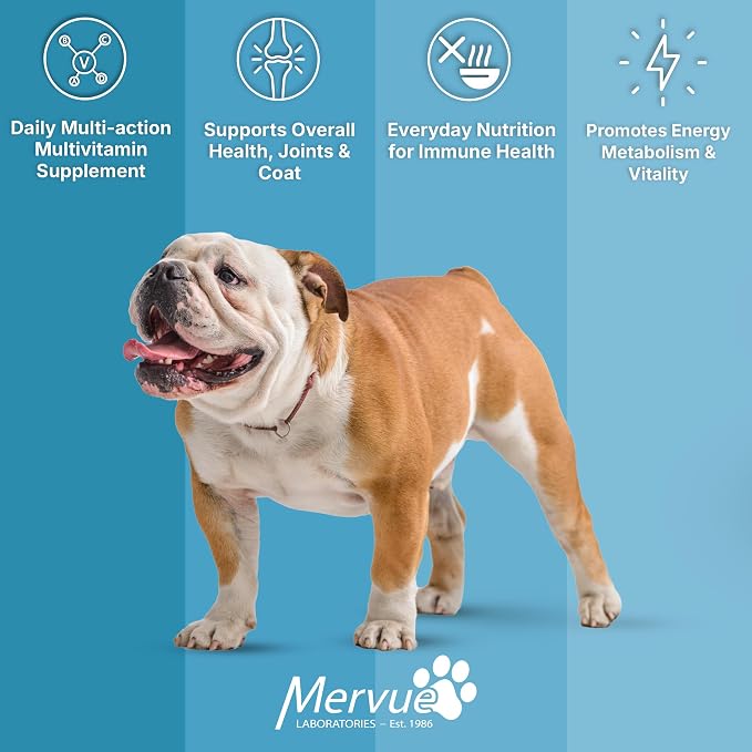 Mervue Multivitamin + Immune Support for Dogs (30 Day Supply) | Pre-Measured Medium Dog Vitamins in Gel Packets – Multivitamin for Dogs w/Beta-Glucans & Vitamin C for Energy & Healthy Coat