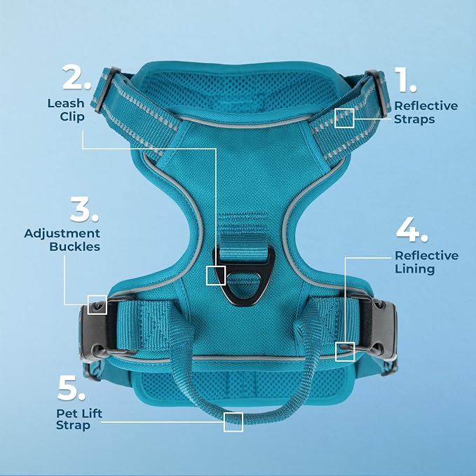 Voyager Dog Harness Dual Leash Attachment No-Pull Control Adjustable Soft but Strong Pet Harness for Medium and Large Dogs with 3M Reflective Technology, Leash Set Turquoise Nylon, S (Chest: 16-20")