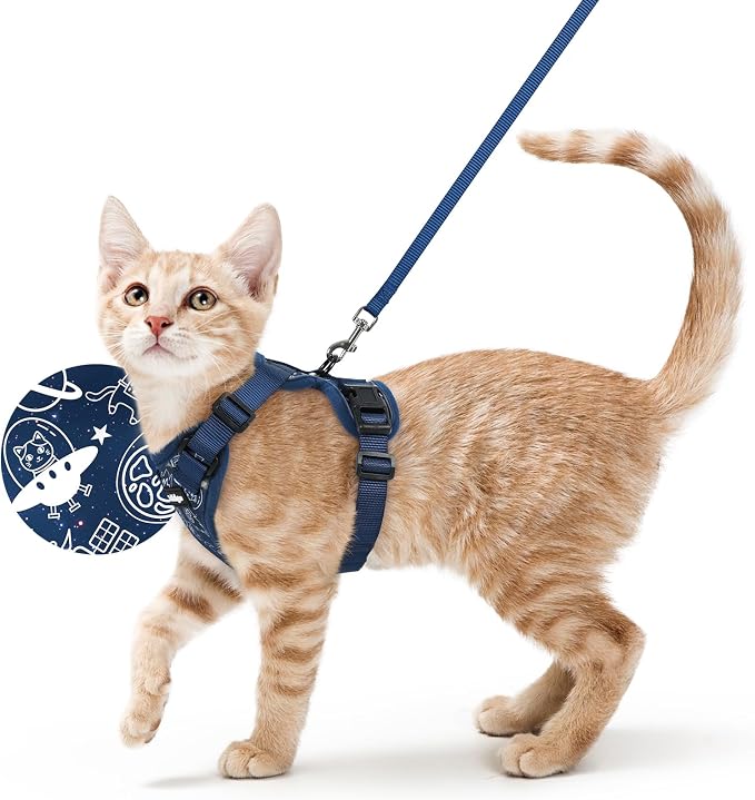 rabbitgoo Cat Harness and Leash Set, Escape Proof Vest, Cosmic Ace | Soft Breathable Mesh, Easy Adjustable Fit, Snap Buckles, Sturdy Clip, Reflective Strips, for Small & Average Cats Walks, Xs