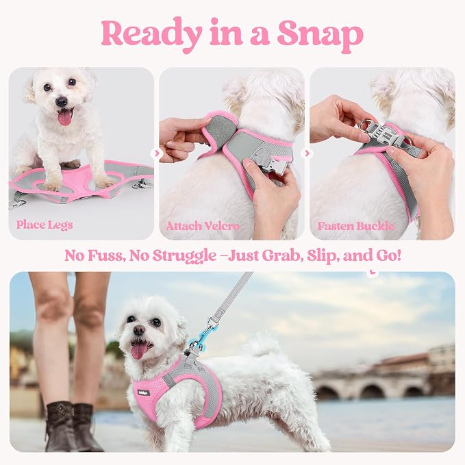 rabbitgoo Dog Harness Medium Sized and Leash Set, Step-in Puppy Pet Vest | Light, Soft, Breathable Air Mesh, Easy on and Remove with Hook & Loop, Secure Reflective for Walking, Light Pink & Gray L