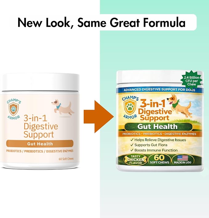 Probiotics for Dogs with Digestive Enzymes - 2.4 Billion CFU Dog Probiotic Supplements for Upset Stomach, Digestive Health, Diarrhea Relief - 60 Chicken Flavor Chews