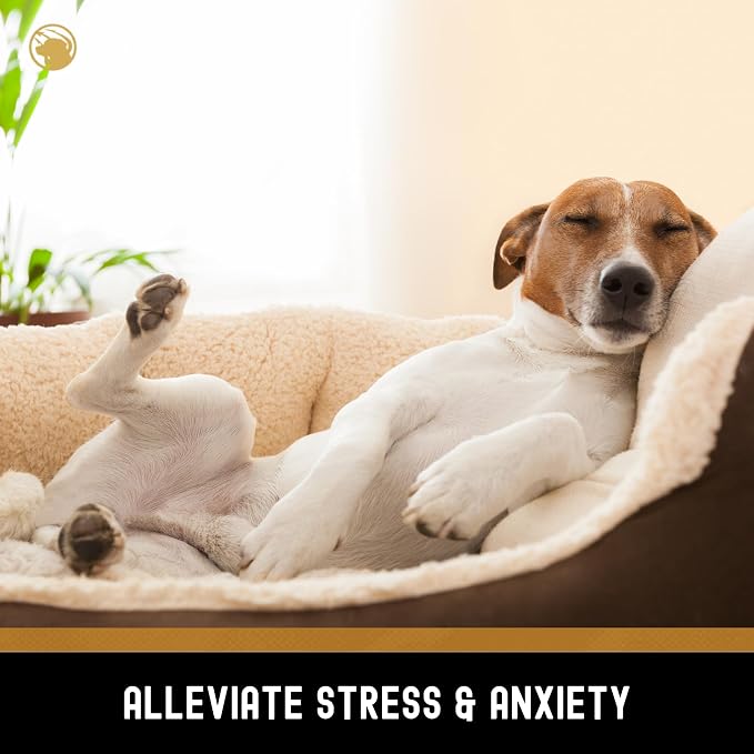 TEAM DOG Calming Chews, Melatonin, Chamomile, Large