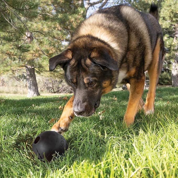 KONG Extreme Ball 2-Pack – Durable Rubber Dog Toy for Power Chewers – Tough Fetch Ball with Hole for Treats – Ideal for Training & Interactive Play – Black (Large)
