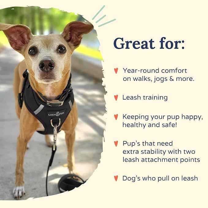 Lucy & Co. The Midnight No-Pull Dog Harness - Size Medium - Vest to Stop Pulling & Walk Easy - Comfortable Leash Training Product w/Adjustable Chest & Neck Straps