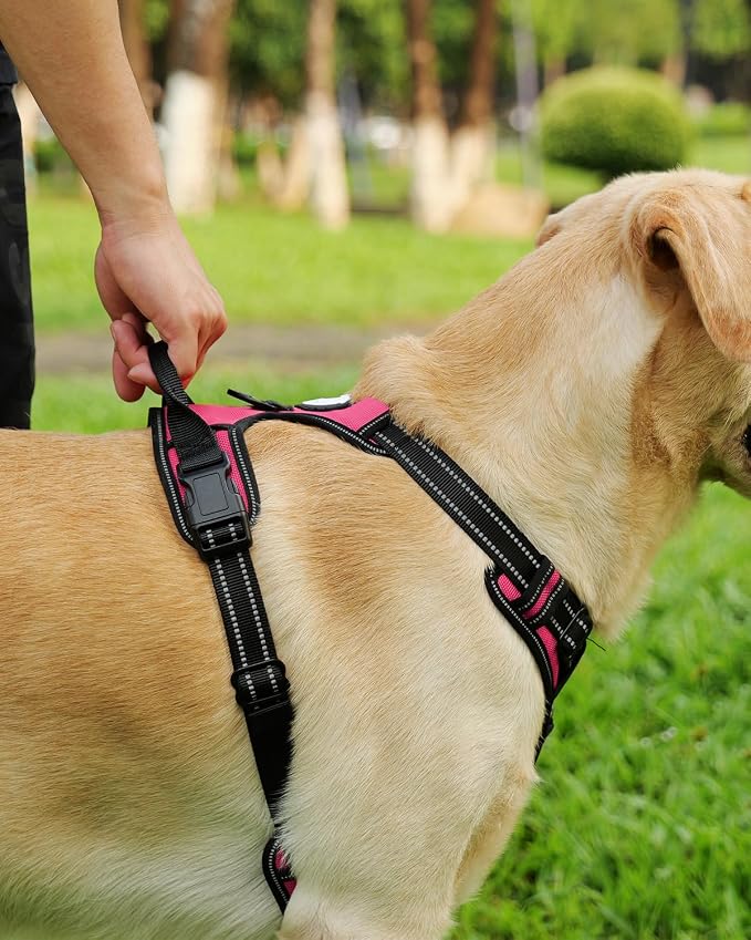 Joytale Dog Harness (Chest: 17-34"), Dog Collar and 6FT x 1" Wide Dog Leash Set, Reflective Padded Nylon Collar and Leash, Adjustable Soft Harness with Handle for Dogs