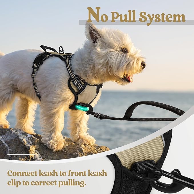 rabbitgoo Dog Harness No Pull with 2 Leash Clips, Adjustable Soft Padded, Reflective Oxford No Choke Pet Vest with Easy Control Handle for Puppy, Beige, XS | No Choke with Handle, Adjustable Soft Padded, Reflective, Easy Control for Walking, Beige, X-S...