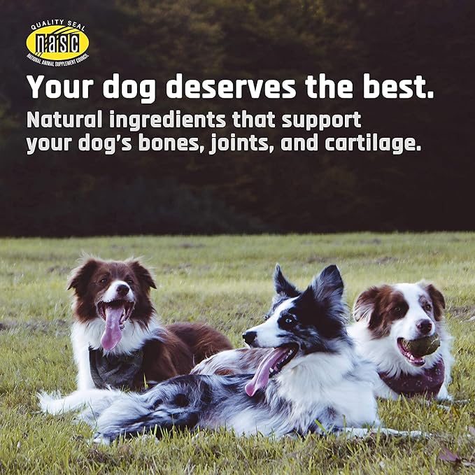 Majesty's Buddy Bites Hip and Joint Wafers for All Dogs - Peanut Butter and Coconut Oil Flavored - Superior Support Supplement- 2 Pack (112 Count Total)